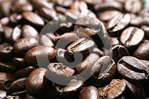 Coffee Beans With Macro Close Up High Quality