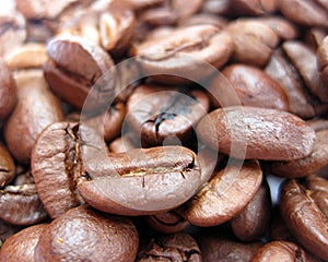 Coffee beans photo