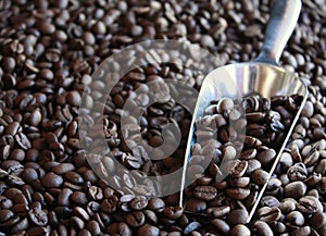 Coffee Beans with Metal Scoop