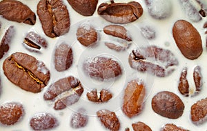 Coffee beans on a milk background