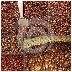 Coffee beans mixtures collage photo