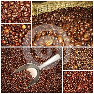 Coffee beans mixtures collage photo