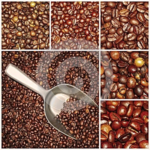 Coffee beans mixtures collage photo