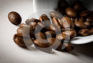 Coffee Beans