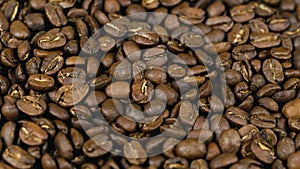 Coffee beans Nicaragua Maragogype