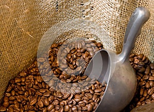 Coffee beans in an open burlap