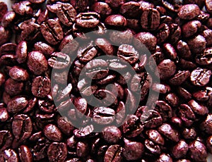 Coffee beans painted in winy color pearl paint. Texture, background