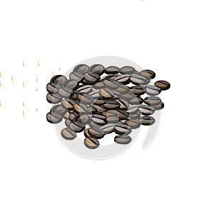 Coffee beans pile isolated roasted coffee seeds. Arabica grains, espresso or americano ingredients, strong morning drink