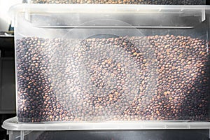 Coffee beans in plastic containers. a lot of roasted