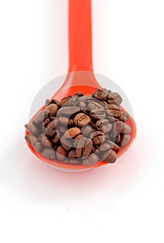 coffee beans in a plstic spoon