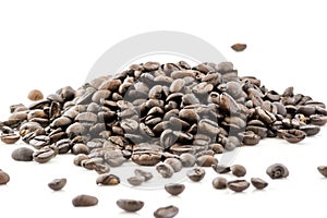 Coffee beans raw close up photo