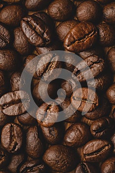 Coffee beans roasted full frame background Close up macro dark brown