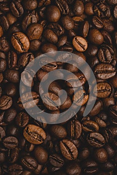 Coffee beans roasted full frame background Close up macro dark brown