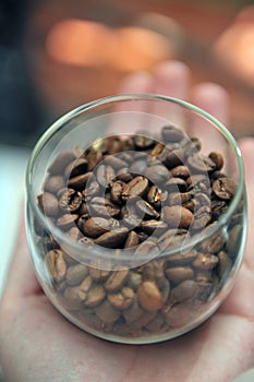 Coffee Beans
