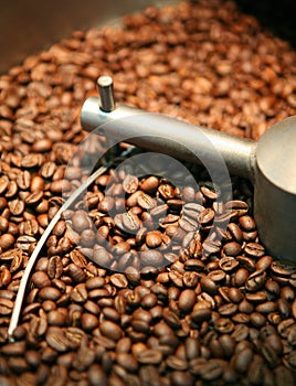 Coffee beans roasting