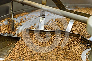 Coffee beans during the roasting process. Drum type roaster. Rosting process of coffee