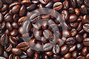 Coffee beans (Robusta coffee)