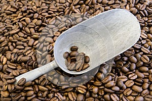 Coffee Beans and scoop photo
