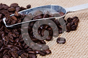 Coffee Beans and Scoop