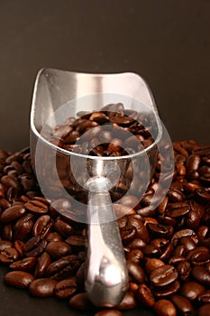 Coffee beans and scoop