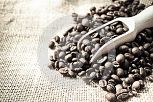 coffee beans and a scoop