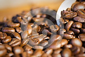 Coffee beans scoop close up