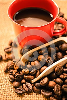 Coffee beans , a scoop and coffee in a red cup