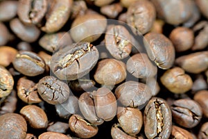 coffee beans, seeds of the Coffea plant and the source for coffee. It is the pip inside the red or purple fruit often referred to