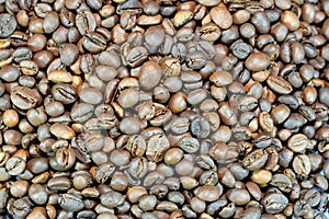 coffee beans, seeds of the Coffea plant and the source for coffee. It is the pip inside the red or purple fruit often referred to