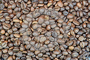 coffee beans, seeds of the Coffea plant and the source for coffee. It is the pip inside the red or purple fruit often referred to