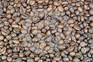 coffee beans, seeds of the Coffea plant and the source for coffee. It is the pip inside the red or purple fruit often referred to