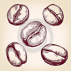 Coffee beans set hand drawn vector llustration sketch photo