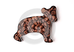 Coffee beans in the shape of bear on a white background