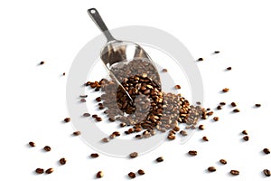 Coffee Beans with shovel isolated on a white background