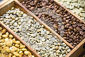 Coffee beans showing various stages of roasting from raw through to Italian roast