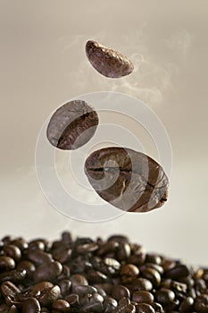 Coffee beans with smoke on white background.Copy space.