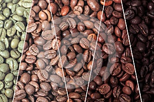 Coffee beans stages of roasting