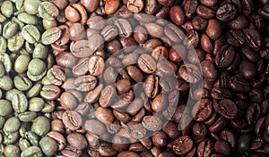 Coffee beans stages of roasting