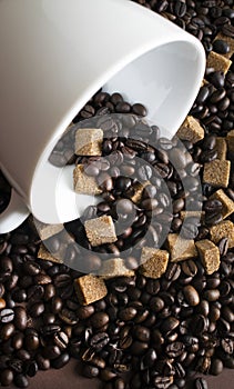 Coffee beans and sugar cubes in close up