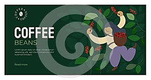 Coffee beans template with picker