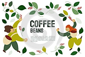 Coffee beans template with pickers