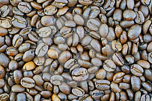 Coffee beans texture