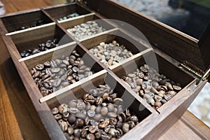 coffee beans toasted