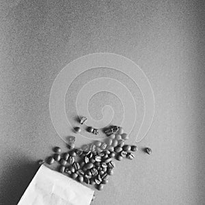 Coffee beans on a uniform background, flatlay photography