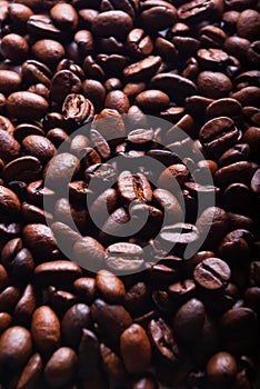 Coffee beans vertical