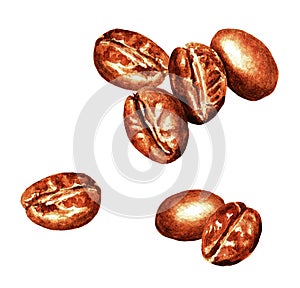 Coffee beans, watercolor 3.4