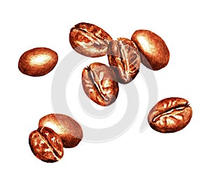 Coffee beans, watercolor 3.6