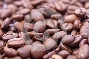 Coffee beans on white background