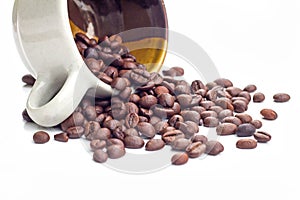 Coffee beans on white background