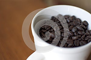 Coffee Beans in White Porcelain Cup